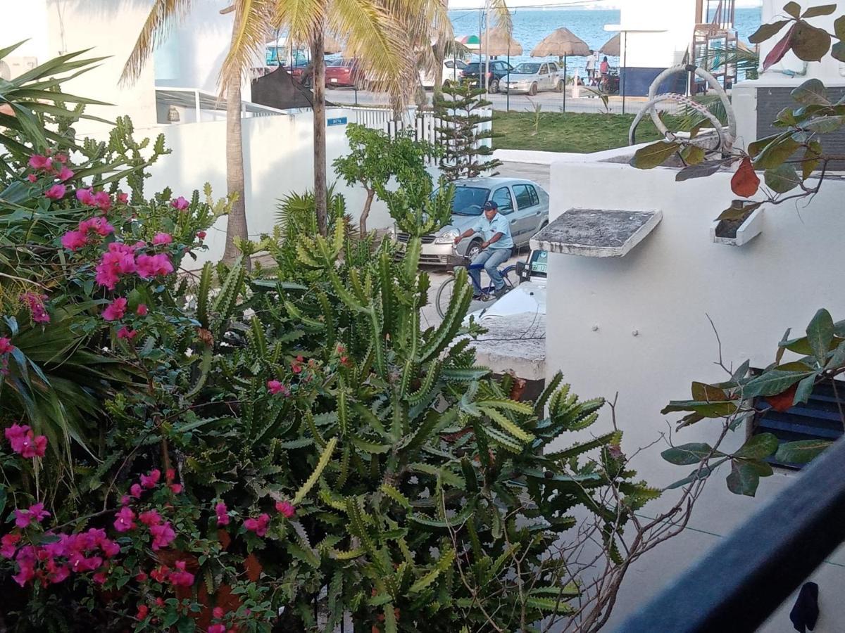 Caribbean Paradise カンクン エクステリア 写真